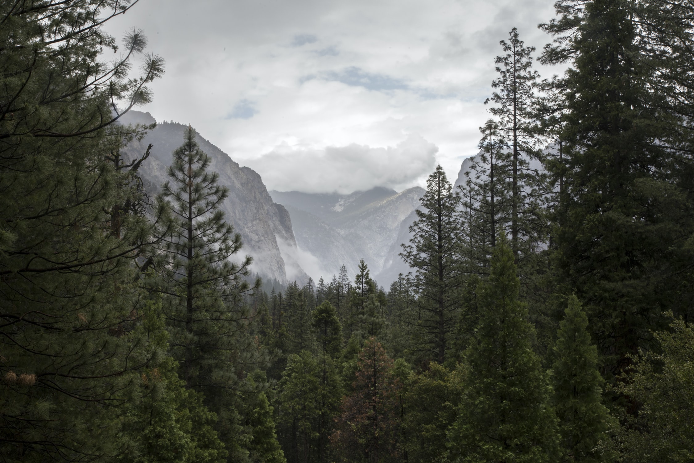 Kings Canyon National Park