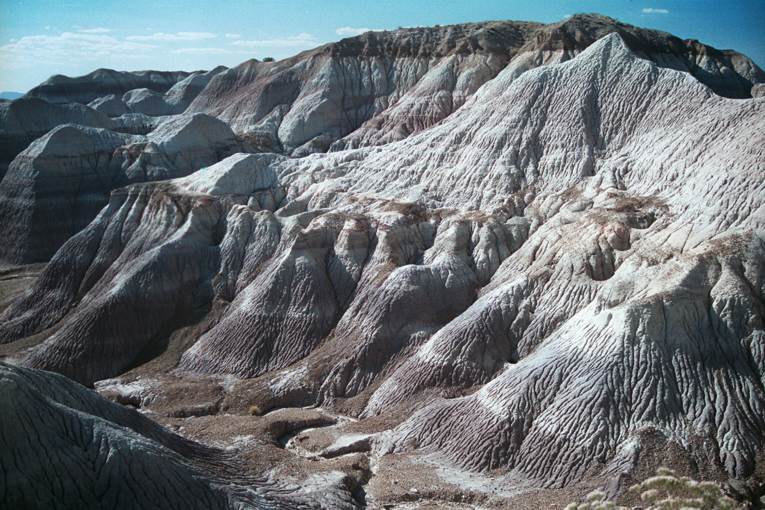 Petrified Forest National Park