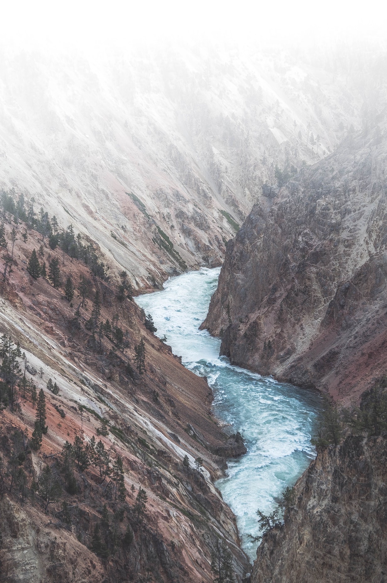 Yellowstone National Park